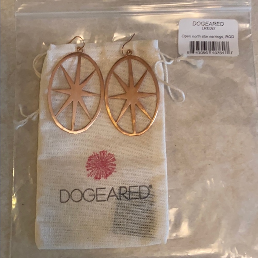 Brand New and Never Worn Dogeared Earrings